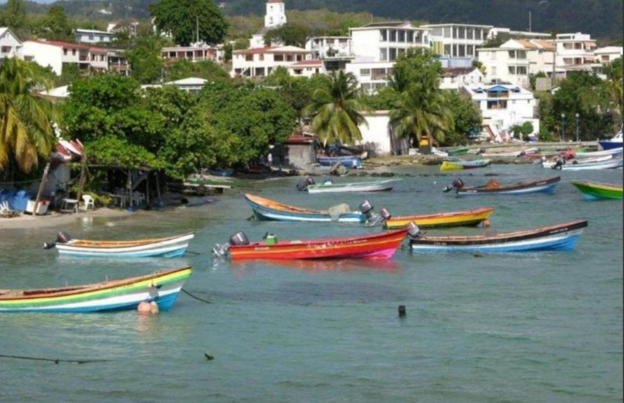 T2 Les Pieds Dans L'Eau Face A La Mer Des Caraibes Sainte Luce - Trois Rivieres Eksteriør billede
